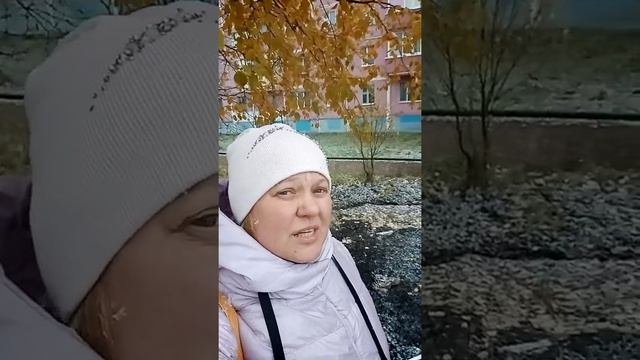 стихотворение "А у нас летит первый снег" Автор Алексеева Надежда.