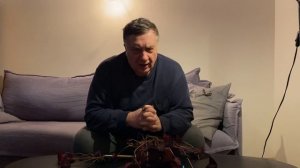 Кислица - сорняк и комнатный цветок!