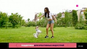 Новая плашка песен и заставка New Hit BRIDGE HITS (8.09.2022)