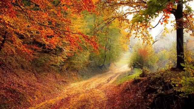 Осенний лес, звук леса, осенний пейзаж