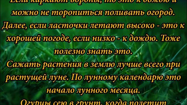 НАРОДНЫЕ ПРИМЕТЫ ДЛЯ ОГОРОДА смотреть онлайн