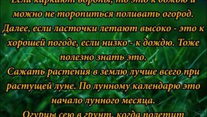 НАРОДНЫЕ ПРИМЕТЫ ДЛЯ ОГОРОДА