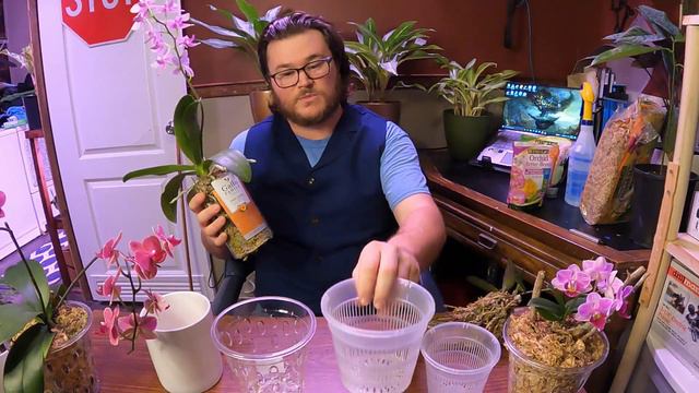 Phalaenopsis Care смотреть онлайн