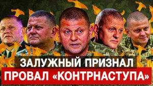 Залужный признал провал «контрнаступа»