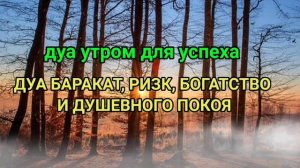 САМАЯ СИЛЬНАЯ Дуа Ин Ша Аллах, ДУА БАРАКАТ, РИЗК, БОГАТСТВО И ДУШЕВНОГО ПОКОЯ #дуа #коран