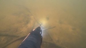 Подводная охота на Десногорском Водохранилище 10.03.20