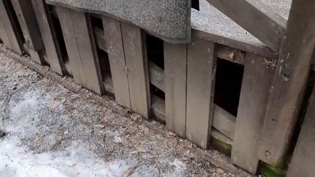 ЛИ СЯО. Алиса - Лиса. Диванные валяния и утренние забеги с Белым. смотреть онлайн