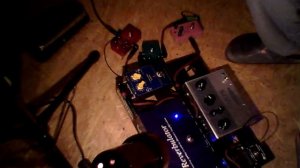 Bearfoot Effects Tourbox 2013...Morgan RG15....Gibson ES 330...Birkenstocks