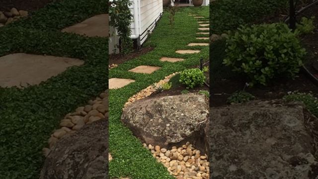 Plant Tiles of native ground cover Dichondra repens were used for an instant professional finish.