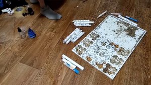 Чистка и перезаливка гипса в огромном формикарии 60 на 40 см