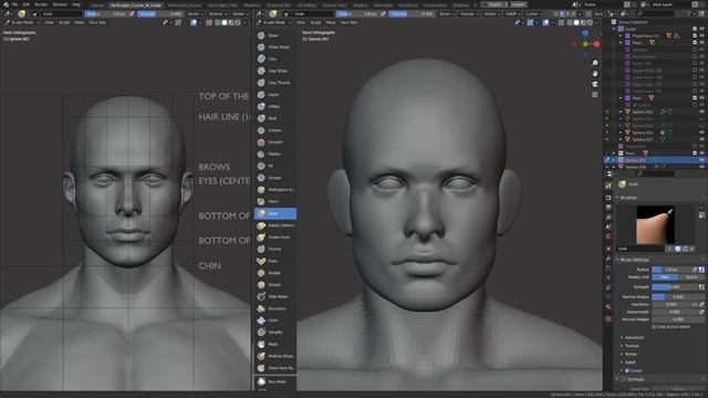 Part 07 - Sculpting The Head