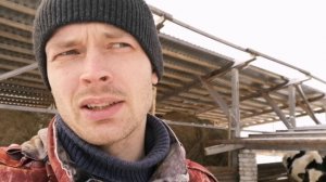 Результаты содержания коров загоне, в зимний период.