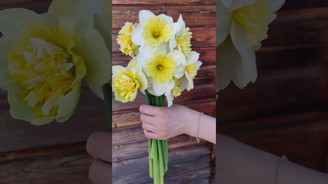 Букетик из Ice Follies и Ice King смотреть онлайн