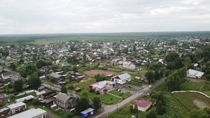 Мураши