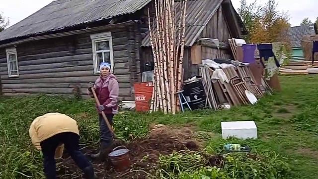 Наш урожай картошки в сене смотреть онлайн