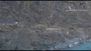 Medības Kirgīzijā / Охота в Киргизии