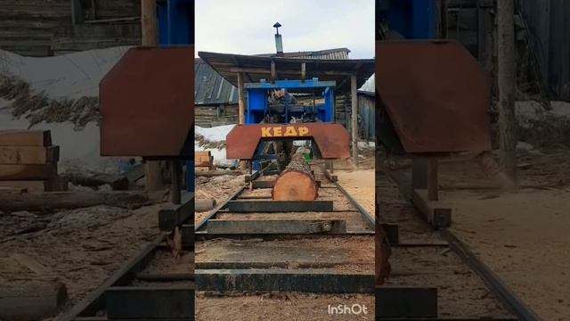 Sawmill"Kedr"/Пилорама "Кедр"