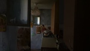 Псковская область, Плюсский район, д. Заполье, ул. Ленинградская