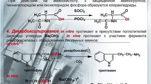 Биополимеры. Аминокислоты. Пептиды. Белки.