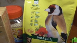 Певчие птицы чем я кормлю свою птицу