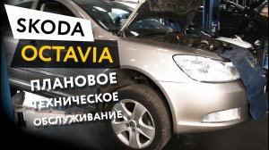 Плановое техническое обслуживание автомобиля Skoda Octavia 1,8 TSI