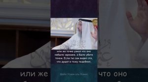 Шейх Усман аль Хамис -мясо в России