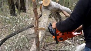 Echo cs600 chainsaw