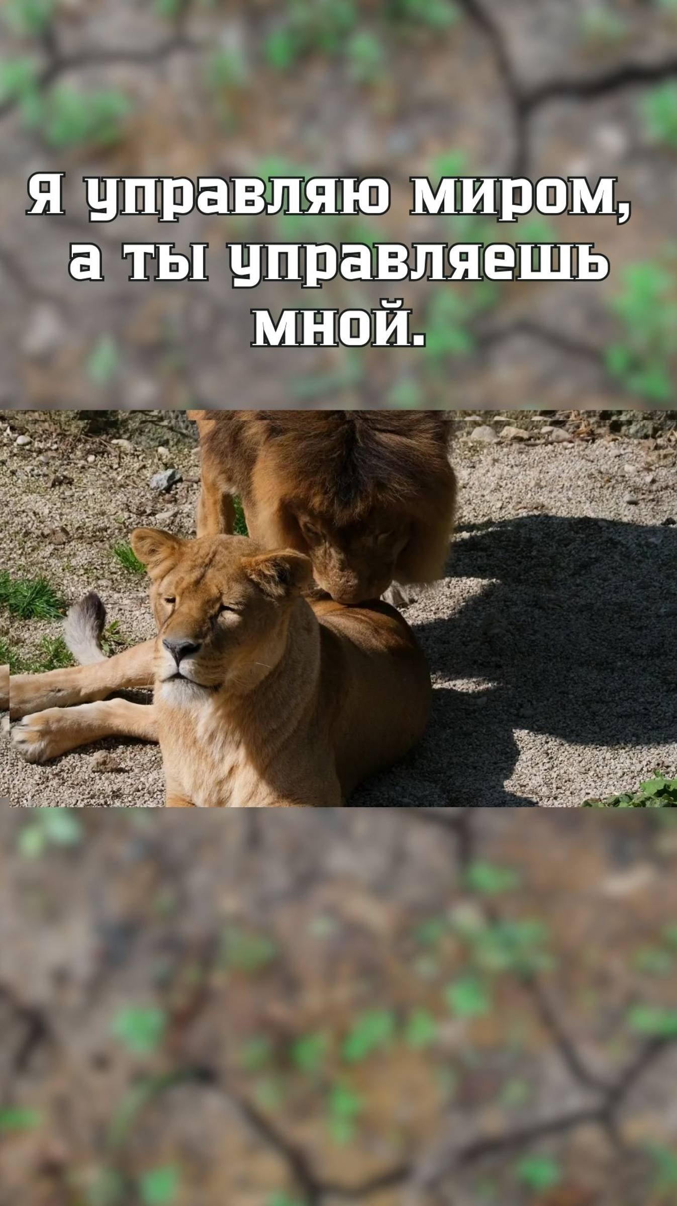 Я управляю миром, а ты управляешь мной