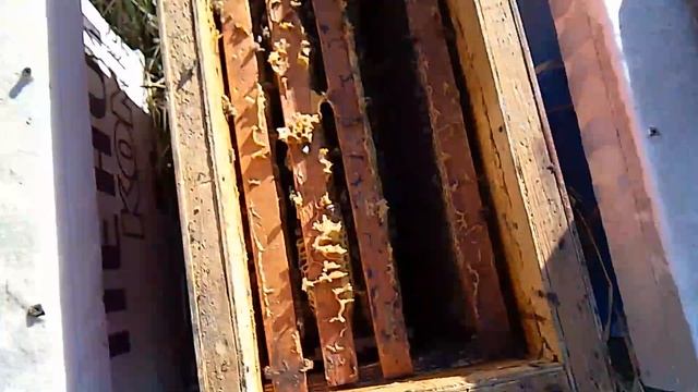 Хорошо зажимаем семейки в зиму!!! смотреть онлайн