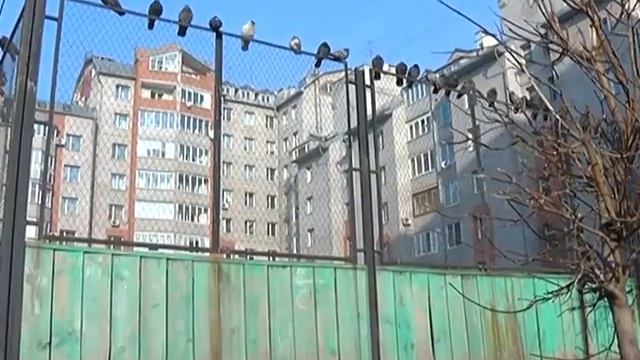 Дворовый каток смотреть онлайн