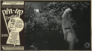 Pin-Up Pretties # 120 - Vintage Tease Loop