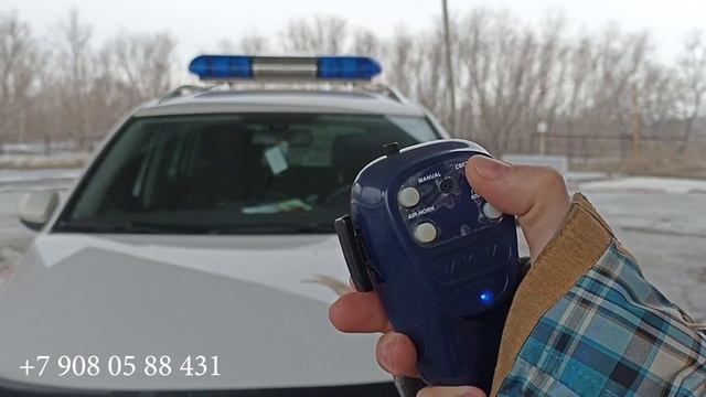 Обзор СГУ Элина Сапфир
