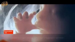 Чудеса Карана и научные открытия