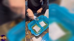 ЗУБАРЕВ ПЕРЕЕХАЛ В ЦИНДАО! РУМТУР НОВОЙ КВАРТИРЫ ! ГУЛЯЕТ ПО ЦИНДАО!