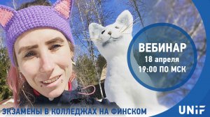 18 апр. 2024 г. Экзамены в колледжах на финском языке