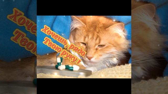 Выздоравливай и не болей! Оздоровительная открытка с пожеланиями!