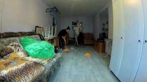 Помешанные на чистоте ГЕНЕРАЛЬНАЯ УБОРКА