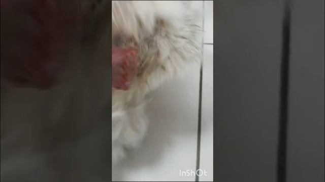 Новости за последние две недели