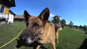 Деревенские будни // Семья Лях