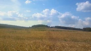 Башира Насырова | Бәширә Насыйрова ""Сагыну"