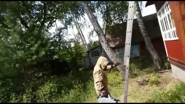 Уничтожение осиного гнезда.Осы- механический переносчик инфекций
