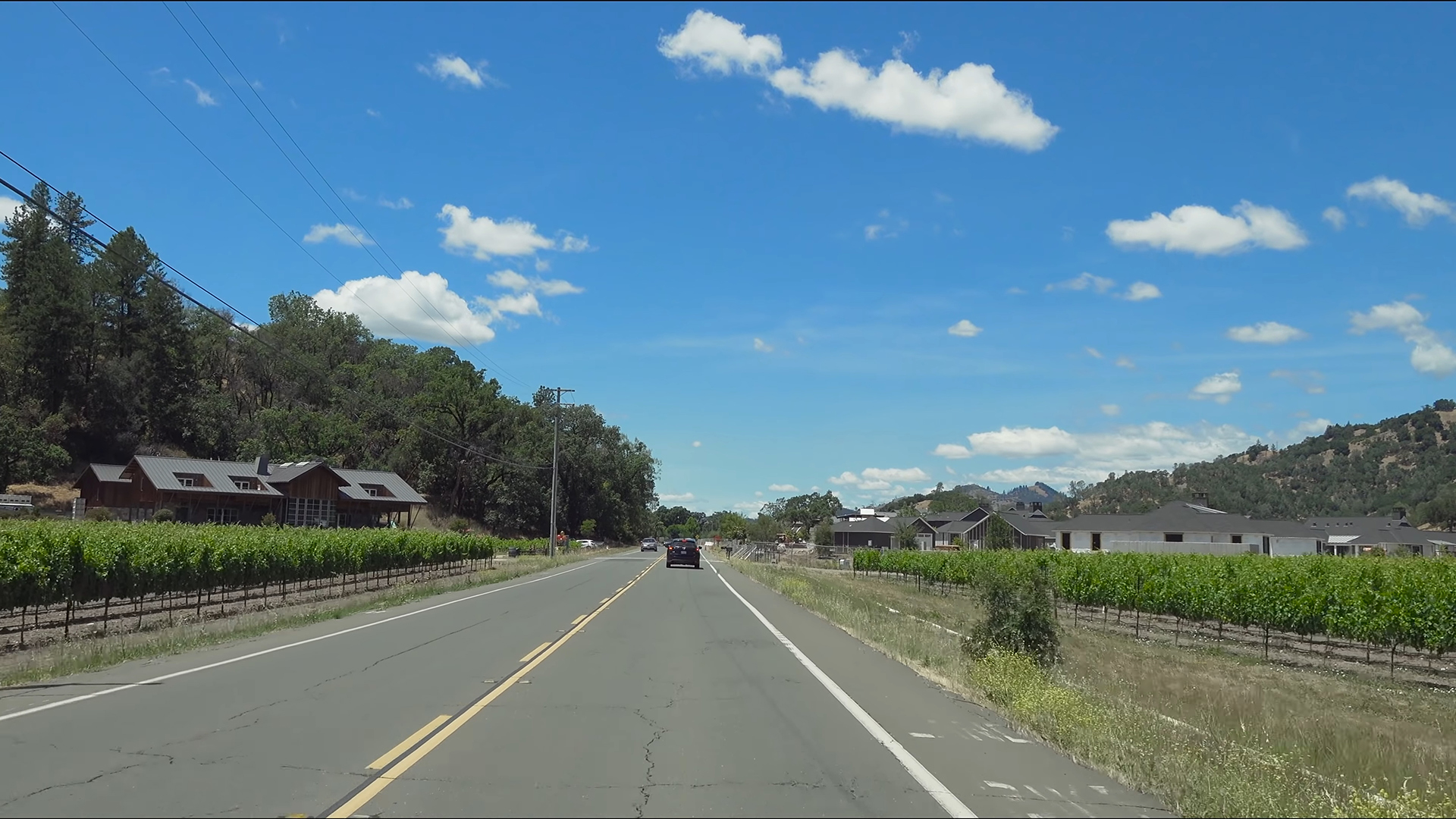 Виноградники долины Напа