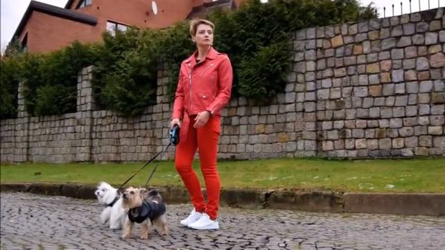 Кожаные байкерские куртки для собак Harley Davidson смотреть онлайн