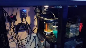 Морской аквариум. Решение моих проблем с выеданием No4, Po3 и падением Kh, Ph