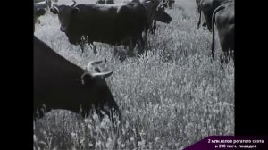 Какие репарации получил СССР от Германии?