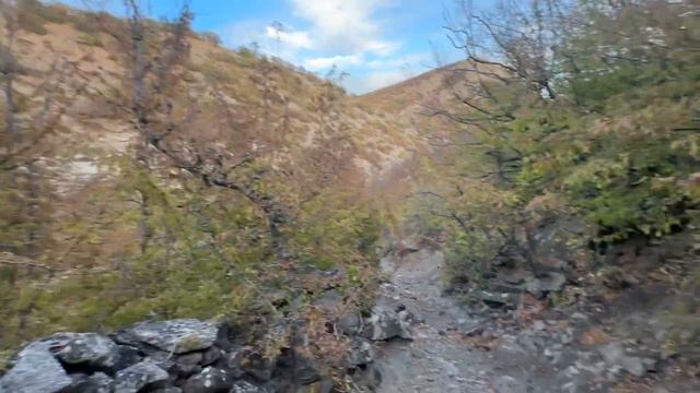 Лесные тропы Кая-Баши. Октябрьский вечер в Крымских горах.