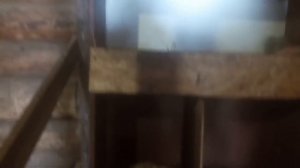 В гостях у семьи Лях, обзор хозяйства, планы, советы, как живёт семья в деревне.