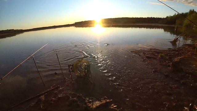 КРУПНЫЙ КАРАСЬ НА ТАЁЖНОМ ОЗЕРЕ! РЫБАЛКА С НОЧЕВКОЙ НА ФИДЕР, БАЙКИ У КОСТРА ПОД ЧАЙ, УЖИН НА БЕРЕГ смотреть онлайн
