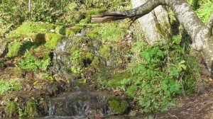 Заповедник Семь Ключей/Водопады в Подмосковье