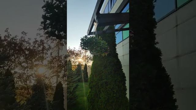 Колибри в Харькове ч.2 ? Украина 2019 смотреть онлайн